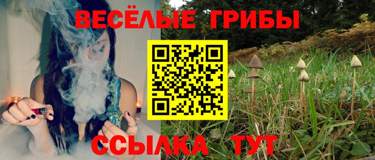 наркота  Галлюциногенные грибы GOLDEN TEACHER  Вход с VPN  Новокубанск 